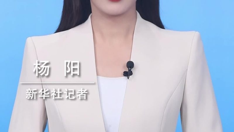 容器编排与Kubernetes：揭秘二者的本质区别